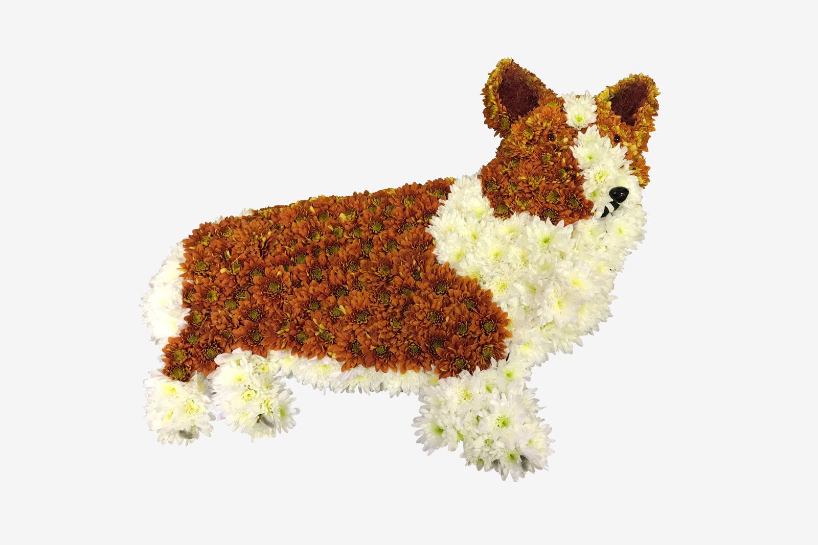 Corgi Funeral Floral Tribute