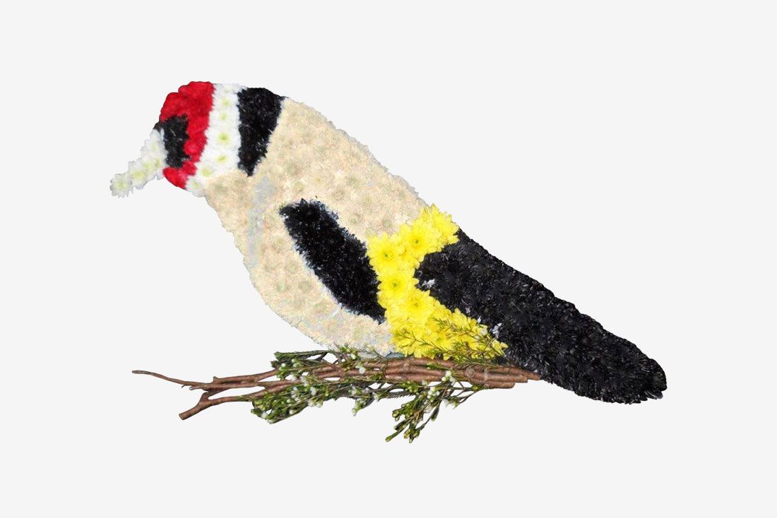 Bird Funeral Floral Tribute